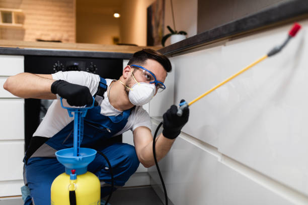 Best Termite Control Services  in Clear Lake Shores, TX