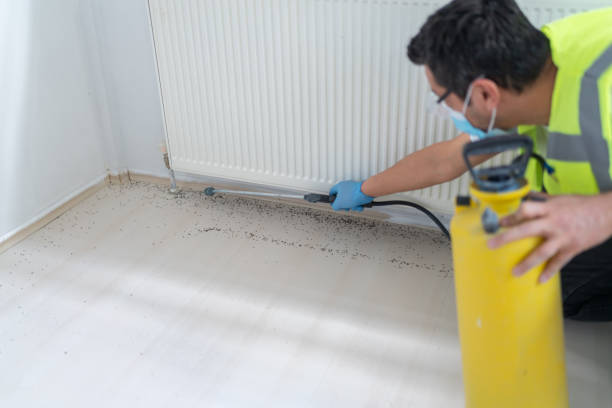 Best Ant Control Services  in Clear Lake Shores, TX