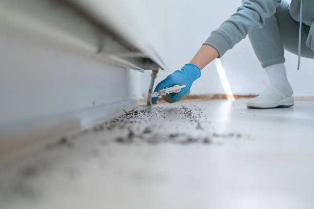 Best Insect Control  in Clear Lake Shores, TX