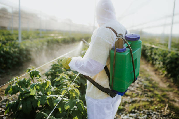 Best Commercial Pest Control Services  in Clear Lake Shores, TX